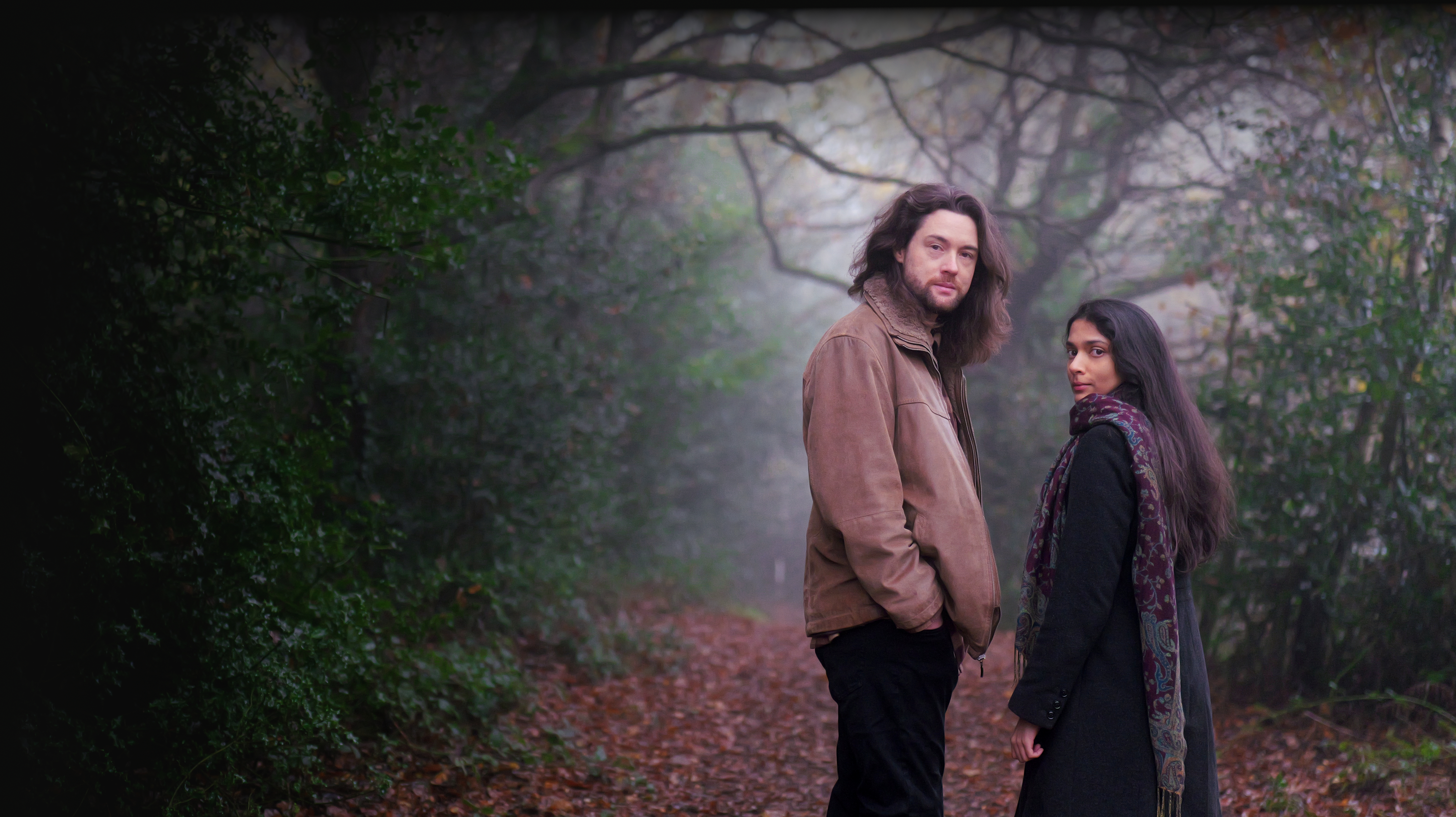 Hollow Wood background