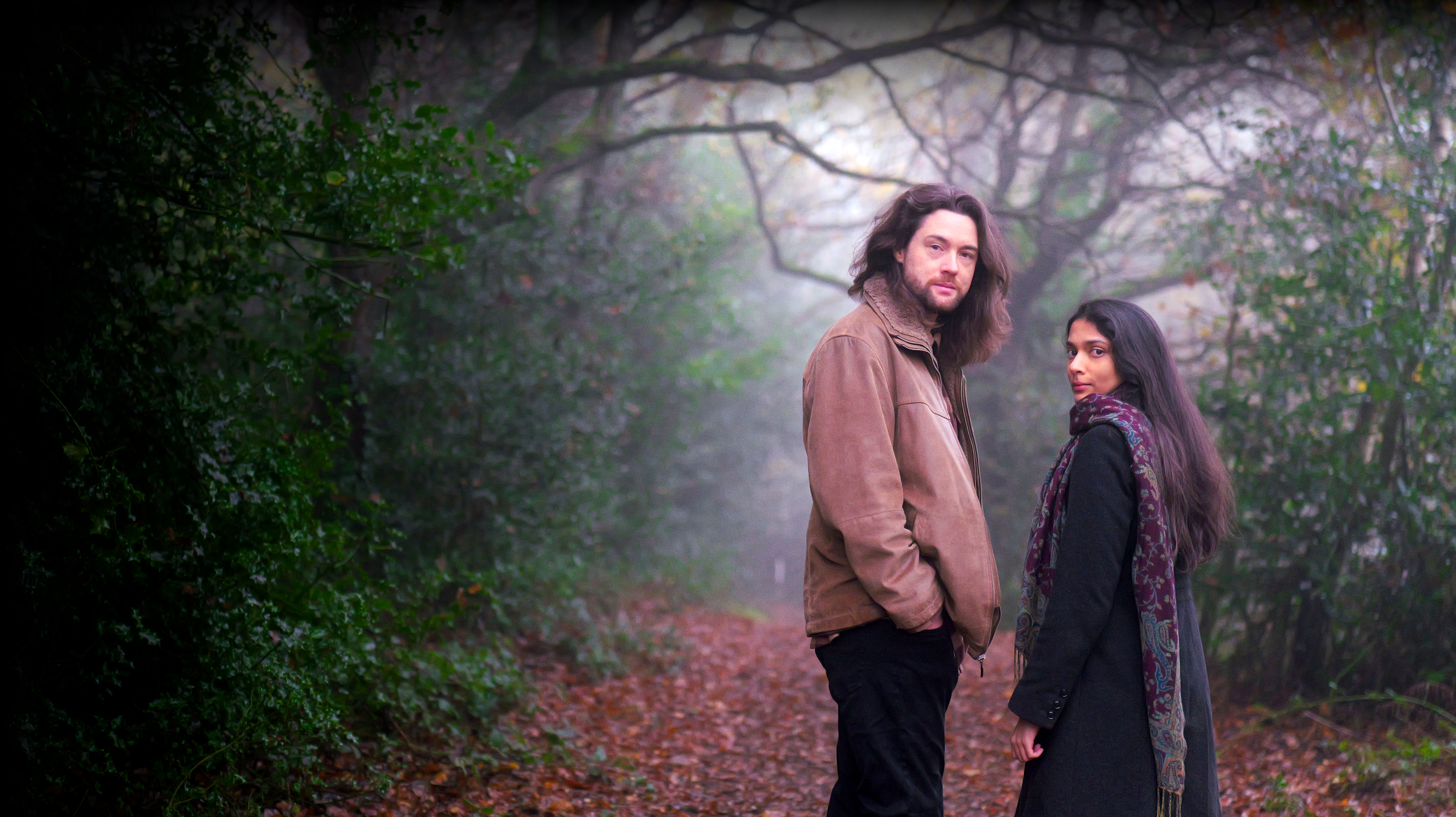 Hollow Wood background